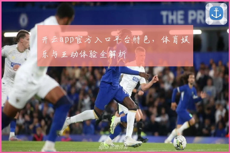 开云app官方入口平台特色，体育娱乐与互动体验全解析