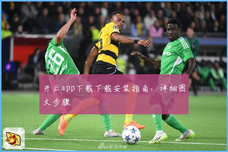 开云app下载下载安装指南，详细图文步骤