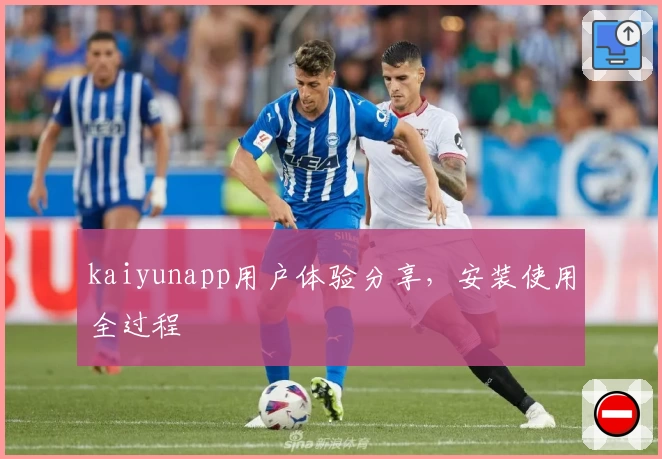 kaiyunapp用户体验分享，安装使用全过程